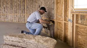 Best Blown-In Insulation  in Crainvle, IL