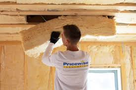 Best Eco-Friendly or Green Insulation Solutions  in Crainvle, IL